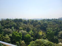 Normanton Park (D5), Apartment #482558501